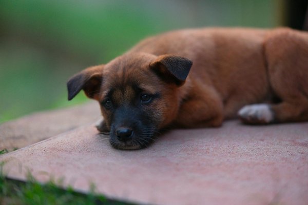 Effiziente Integration nachhaltiger Baustoffe in städtische Bauprojekte: Der ultimative Leitfaden!